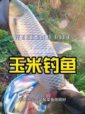 抖音小海鱼棠最新爆料,揭秘网红幕后故事！