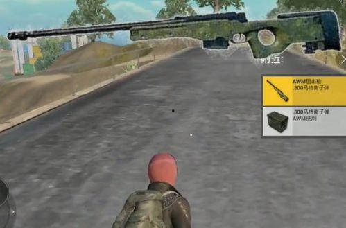 和平精英背包最新爆料,海量爆料来袭，全新道具等你探索